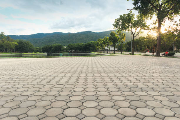 Trusted Freeland, MI Driveway Pavers Experts